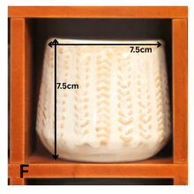 Load image into Gallery viewer, Petit Flowerpots (Series 1)