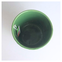 Load image into Gallery viewer, The Leaferie Cireva cermaic green floral pot