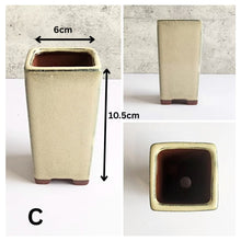 Load image into Gallery viewer, Petit Bonsai Flowerpot (Series 3) Beige Theme