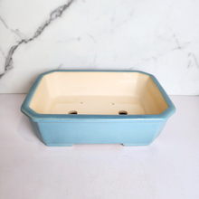 Load image into Gallery viewer, The Leaferie Rectangular bonsai pot. 2 colours ceramic material