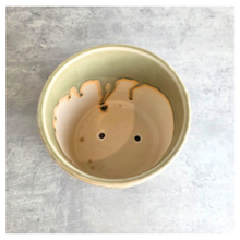 Load image into Gallery viewer, Nyra Green ceramic planter with leaf pattern on a gray surface, featuring the Leaferie brand.