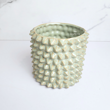 Load image into Gallery viewer, The Leaferie Kyllo spike ceramic flowerpot.