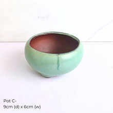 Load image into Gallery viewer, Collection of As-Is Feb 26 ceramic pots with various designs and colors Leaferie brand.