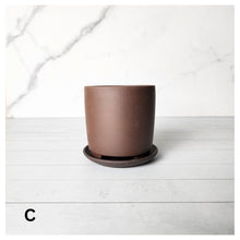 Load image into Gallery viewer, Noemie Mini Flowerpot (Series 1)