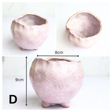Load image into Gallery viewer, Mini Flowerpots (Series 11)