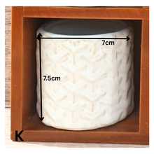 Load image into Gallery viewer, Petit Flowerpots (Series 3)