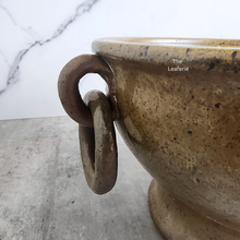 Load image into Gallery viewer, The Leaferie Capri pot with ear . no drainage hole