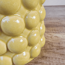 Load image into Gallery viewer, Sorcha Pot