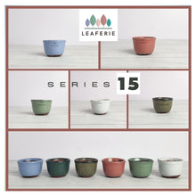 Load image into Gallery viewer, Petit Bonsai Pot (Series 15)