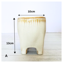 Load image into Gallery viewer, Maolisa Flowerpot