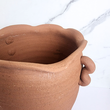 Load image into Gallery viewer, The Leaferie Yucca tall terracotta pot.