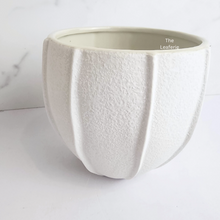 Load image into Gallery viewer, The Leaferie Pearl white ceramic pot
