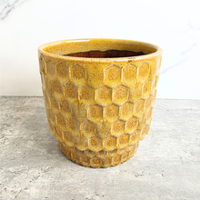 Load image into Gallery viewer, Polie Flowerpot