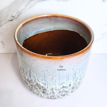 Load image into Gallery viewer, The Leaferie Toro Flowerpot . Ceramic Material