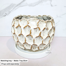 Load image into Gallery viewer, The Leaferie Eclipse ceramic Flowerpot