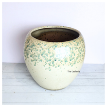 Load image into Gallery viewer, The Leaferie Avenelle big ceramic pot with green speckles.