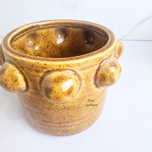 Load image into Gallery viewer, The Leaferie Glover yellow small ceramic flowerpot