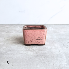 Load image into Gallery viewer, The Leaferie Petit Bonsai Series 77 (4 colours) square ceramic material