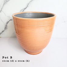 Load image into Gallery viewer, The Leaferie AS-IS october 24. 8 items