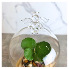 Load image into Gallery viewer, Angel Glass terrarium with a small plant on a wooden base, featuring the Leaferie brand.