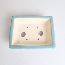 Load image into Gallery viewer, The Leaferie Petit bonsai series 47. 3 colours rectangular bonsai pot