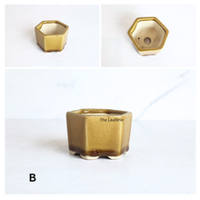 Load image into Gallery viewer, The Leaferie Bonsai pot series 81. hexagon ceramic pot. 5 colours