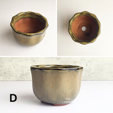 Load image into Gallery viewer, The Leaferie Bonsai Pot Series 32. 4 colours ceramic pot. Pot D