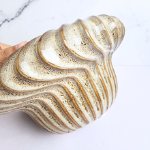 Load image into Gallery viewer, The Leaferie Paloma wide beige ceramic pot.