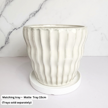 Load image into Gallery viewer, The Leaferie Quin White ceramic pot