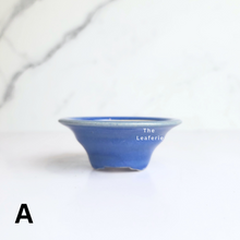 Load image into Gallery viewer, Petit Bonsai Flowerpot (Series 48)