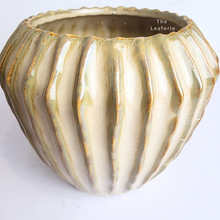 Load image into Gallery viewer, The Leaferie Marius beige flowerpot. ceramic material