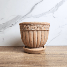 Load image into Gallery viewer, The Leaferie Philomel terracotta pot with tray.