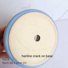 Load image into Gallery viewer, The Leaferie As-is March 25 . 9 items