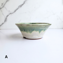 Load image into Gallery viewer, Bonsai Flowerpot (Series 51) 8 colours
