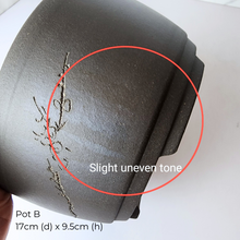 Load image into Gallery viewer, The Leaferie As-Is Pot April 25. 9 items