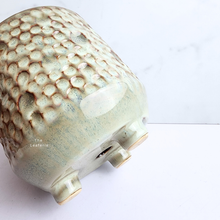 Load image into Gallery viewer, The Leaferie Terra crate ceramic pot with legs