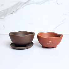 Load image into Gallery viewer, The Leaferie Petit Bonsai Series 42. 4 designs in each set