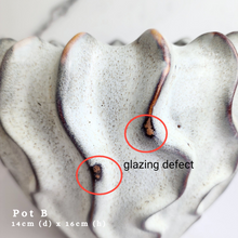 Load image into Gallery viewer, The Leaferie AS-Is May 2024. 12 pieces ceramic pots