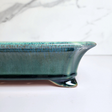 Load image into Gallery viewer, The Leaferie Bonsai Tally Series 7. green rectangular pot.