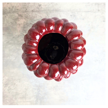 Load image into Gallery viewer, The Leaferie Riora red grape flowerpot