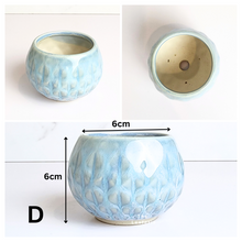 Load image into Gallery viewer, Petit Flowerpots (Series 10)