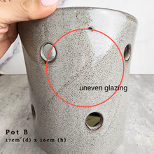 Load image into Gallery viewer, The Leaferie As-is august 24. 12 items