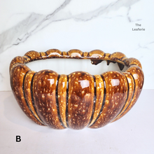 Load image into Gallery viewer, Dorsey Long Flowerpot (2 designs)