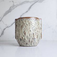 Load image into Gallery viewer, The Leaferie Amal pot. ceramic planter. front view