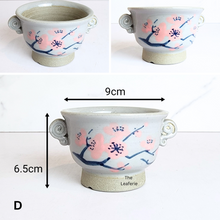 Load image into Gallery viewer, The Leaferie Petit Allegra Serie 6. 4 designs ceramic pot