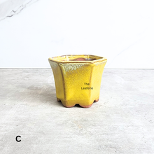 Load image into Gallery viewer, The Leaferie Petit Bonsai pots 76.. Hexagon shape a=with 4 colours.