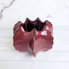Load image into Gallery viewer, Colbert Flowerpot