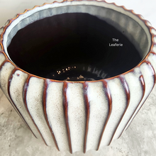 Load image into Gallery viewer, The Leaferie Aubert flowerpot. ceramic material