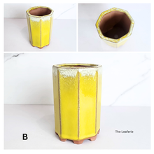 Load image into Gallery viewer, The Leaferie Bonsai Series 80. 4 colours ceramic material