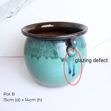 Load image into Gallery viewer, The Leaferie As-Is May 25 (9items). Defective flowerpot